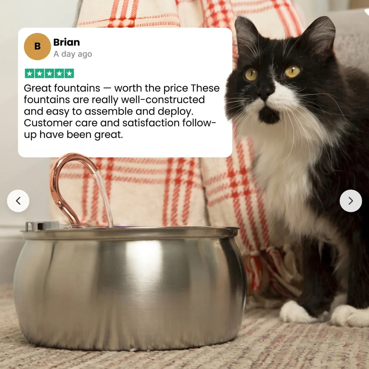 PureTap Stainless Cat Fountain