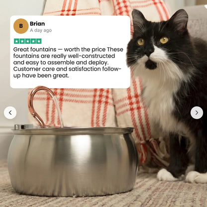 PureTap Stainless Cat Fountain
